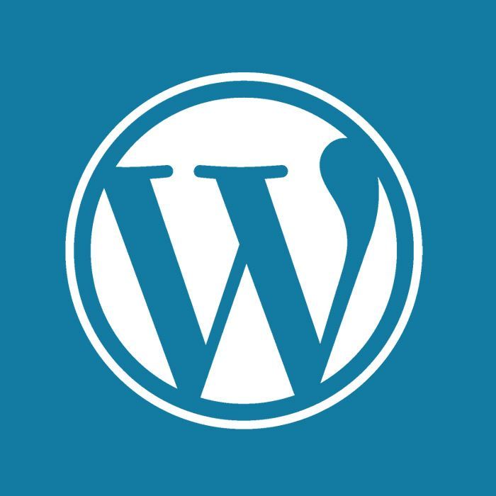 WordPress Brochure Websites